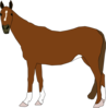 Staring Horse Clip Art